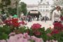 „Festiwal Kwiatów w Dębicy” 🌷🌼🌹