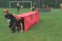 Gminne Zawody Sportowo-Pożarnicze Młodzieżowych Drużyn Pożarniczych 🚒